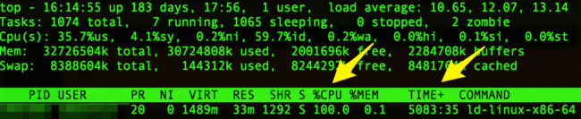 Maxed CPU and Processes
