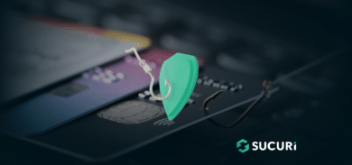 New Guide How to Protect Your Website from Phishing